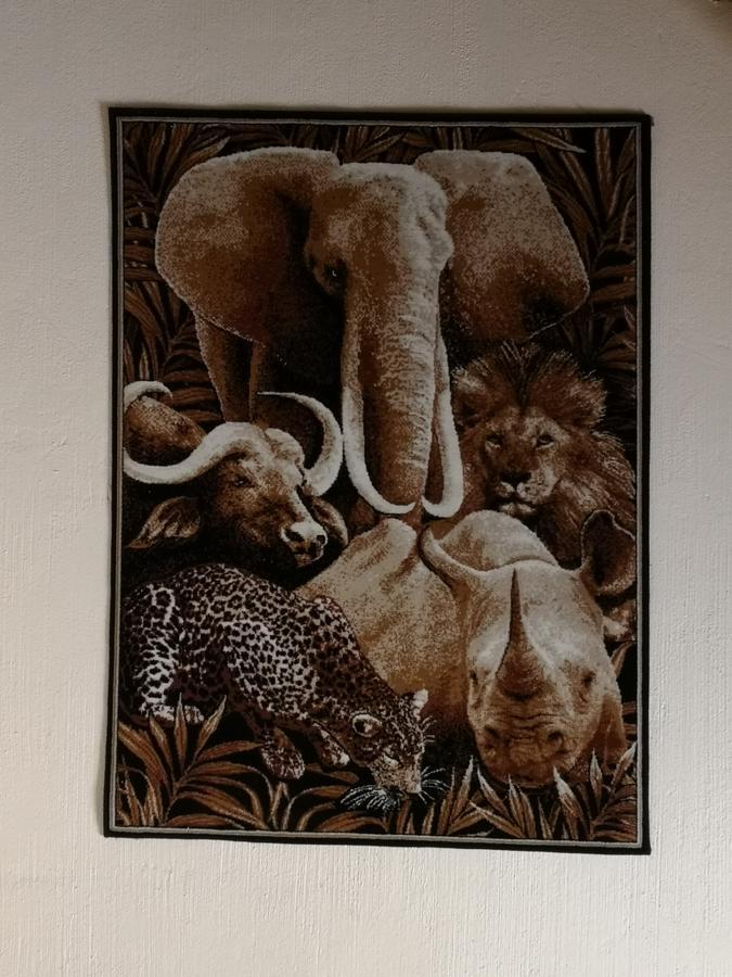 All Over Africa Guest House Kempton Park Dış mekan fotoğraf